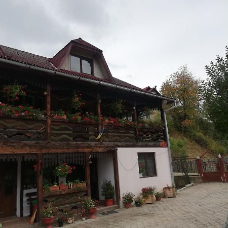 Casa Cozorici Hotell Sadova  Eksteriør bilde