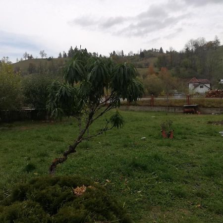 Casa Cozorici Hotell Sadova  Eksteriør bilde