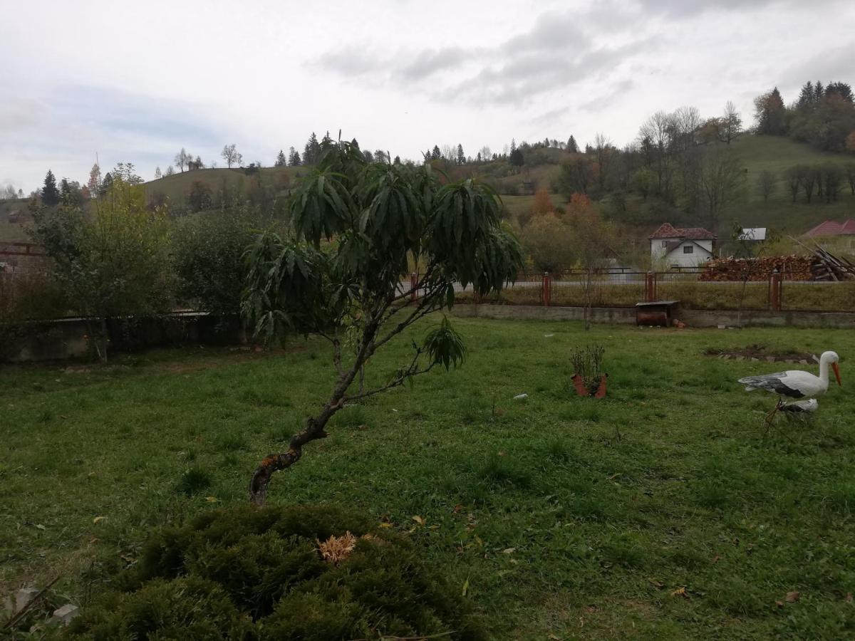 Casa Cozorici Hotell Sadova  Eksteriør bilde