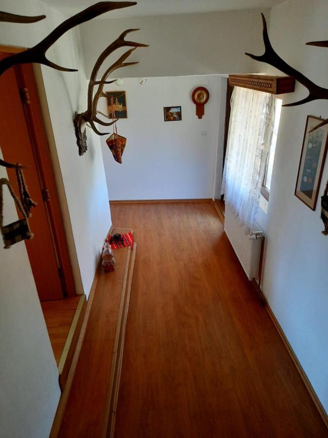 Casa Cozorici Hotell Sadova  Eksteriør bilde