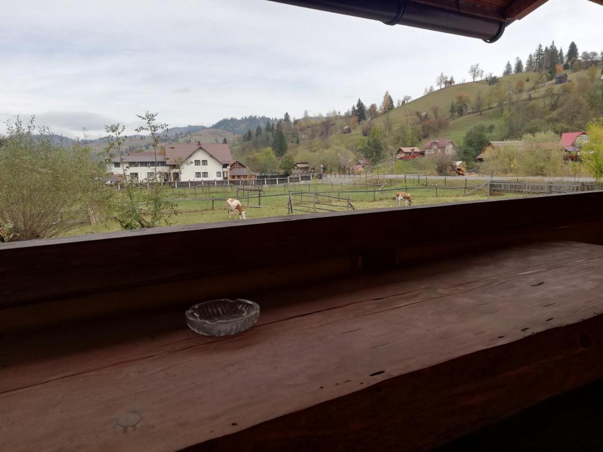 Casa Cozorici Hotell Sadova  Eksteriør bilde